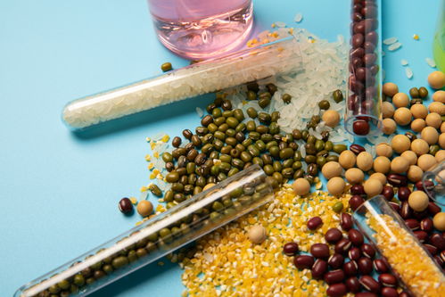 五谷食品安全農業科技食品培育攝影圖 插畫 下載至來源處